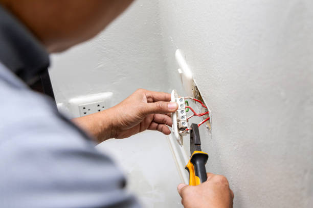 Best Electrical System Inspection  in Forest Lake, MN